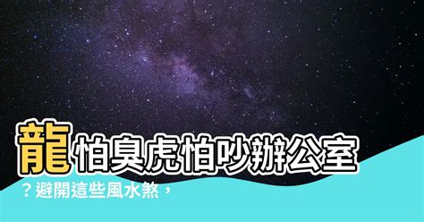 龍怕臭虎怕吵辦公室|【龍怕臭虎怕吵辦公室】龍怕臭虎怕吵辦公室？避開這些風。